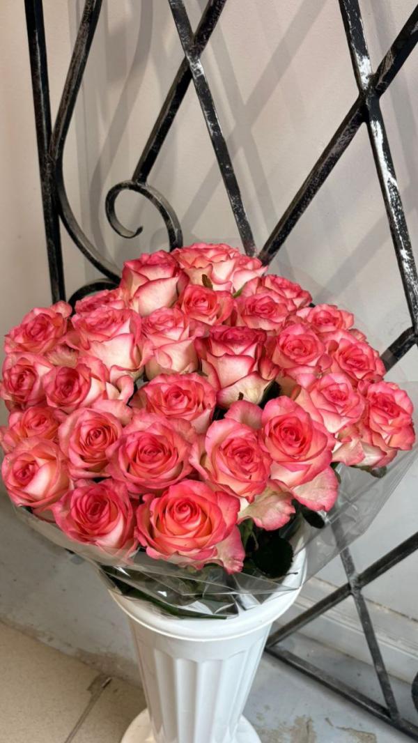 Роза Джумилия