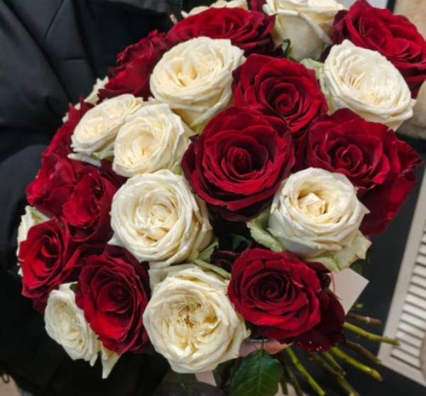 Букет из 25 красно-белых роз